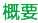 概要